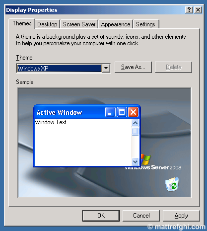 A screenshot of the Themes tab of the Display Settings dialog, with the Windows XP theme selected.