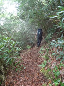 Photo by Elisa Roberts